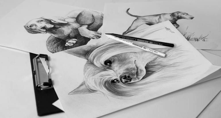 Original Realism Animal Drawing by Olga Tsvetkova