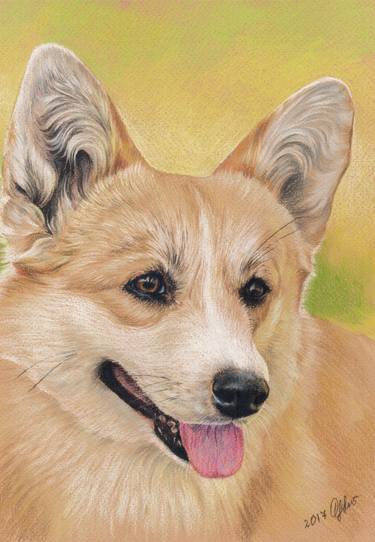 Welsh corgi pembroke portrait. Pastel on paper. 21cm x 30cm thumb