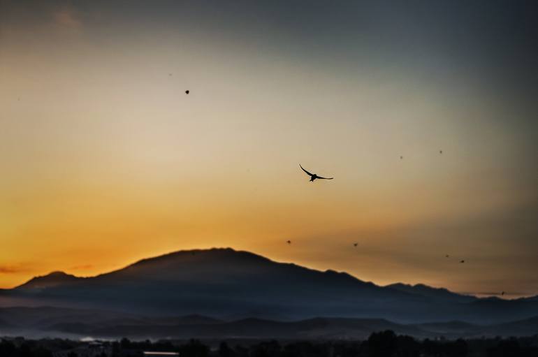 Print of Documentary Landscape Photography by Nino Khundadze