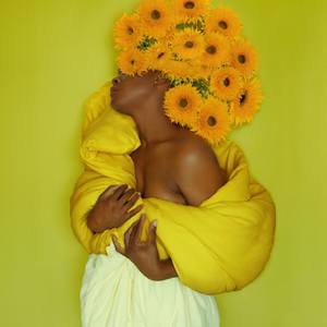 The Sunflowers