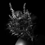 Collection Black & White Photography