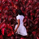 How-To: By Medium - Photography thumb