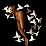 Collection Lotte Final