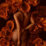 Collection Brass & Bronze