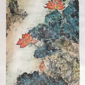 Lotus Flowers in Spring