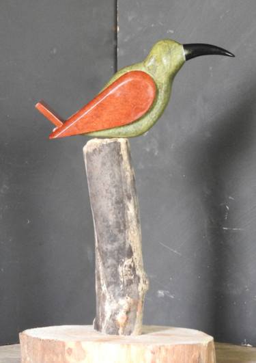 Redtail green bird thumb