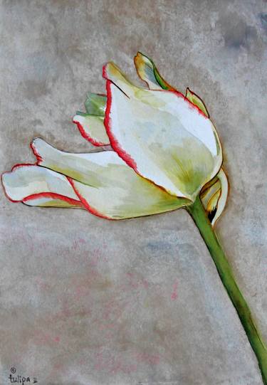 Print of Fine Art Floral Paintings by Simone Bosch