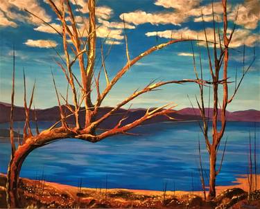 Original Landscape Paintings by Elaine Henderson