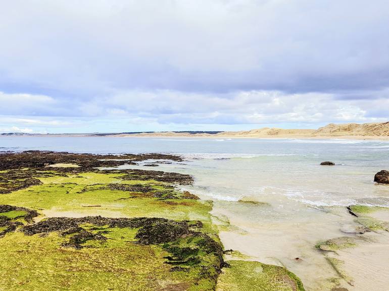 Dunnet Sands - Print