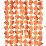 Collection Office hallway art