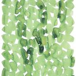 Collection Lakewood Final Selections