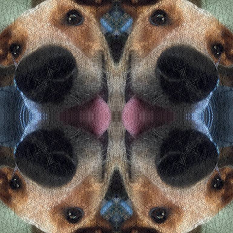 Print of Abstract Dogs Photography by Deric Neufeld