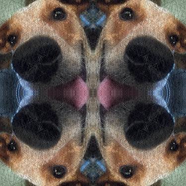 Print of Abstract Dogs Photography by Deric Neufeld