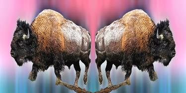 hypnotic bison mirror thumb