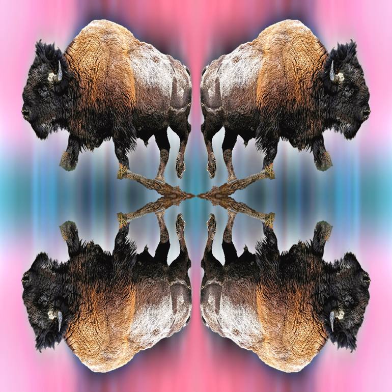 hypnotic bison quattro - Print