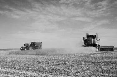 Print of Rural life Photography by Ilona Myziuk