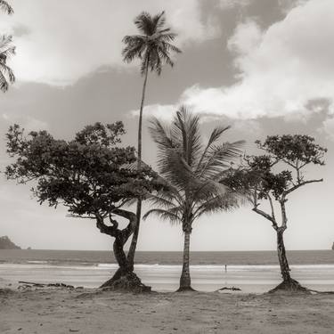 Print of Beach Photography by Zoran Stanojevic