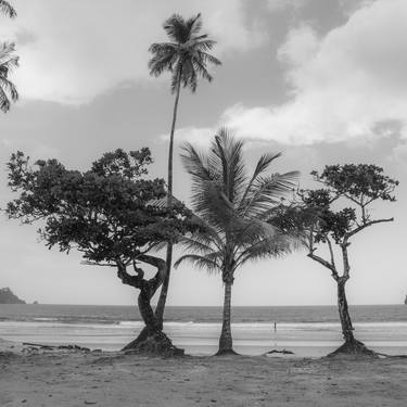 Print of Beach Photography by Zoran Stanojevic