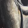 WOOD TEXTURE