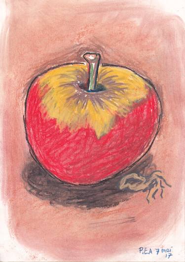 Original Food Drawings by Patricia Achenbach