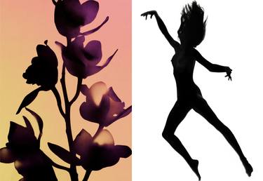 Orchid Silhouette #2 - Limited Edition 1 of 50 thumb