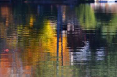 Pond Reflections thumb