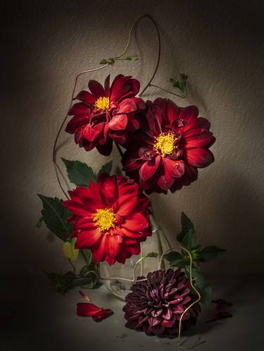 Red Dahlias - Limited Edition of 10 thumb