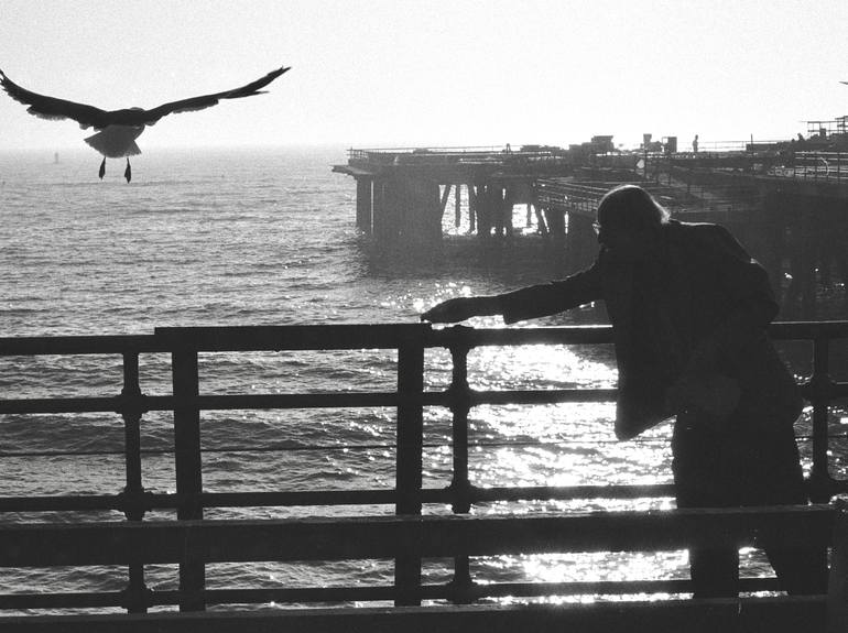 Feeding The Gulls Photography By Jack Carden Saatchi Art 0938