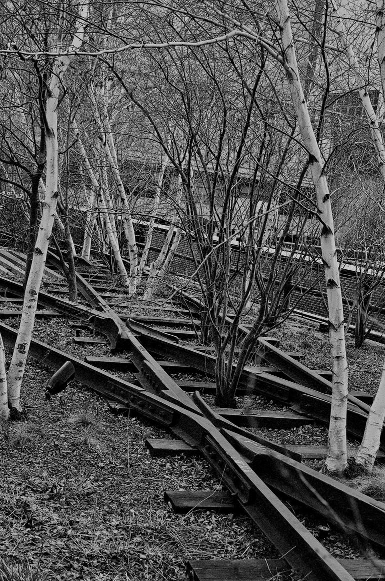 Trees On The Tracks Photography By Jack Carden Saatchi Art 1146