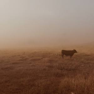 Collection Western Frontier