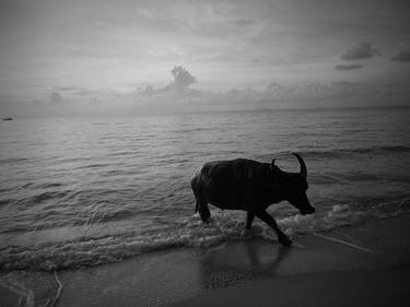 Beach Buffalo, Koh Samui, Thailand - Limited Edition 2 of 9 thumb