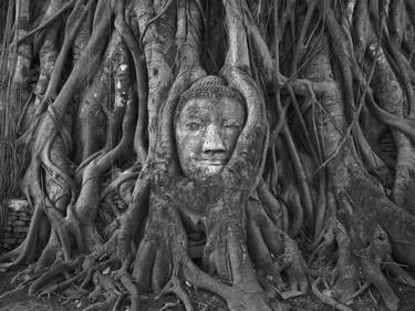 Buddha , Ayutthaya Thailand - Limited Edition 1 of 9 thumb