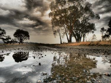 Drought Relief, Emu Swamp. NSW Australia - Limited Edition 1 of 8 thumb