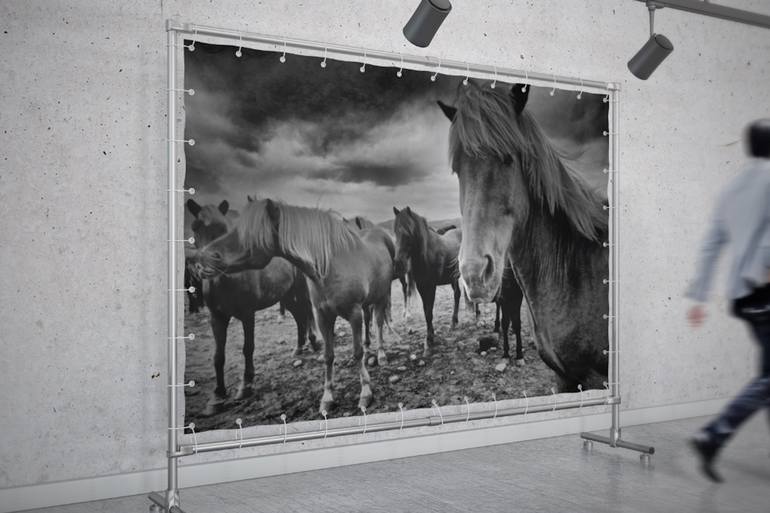 Original Conceptual Horse Photography by Edwin Datoc