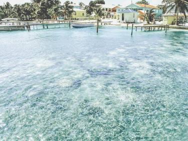 Caye Caulker Beach 1, Belize - Limited Edition 1 of 10 thumb