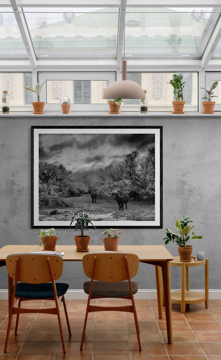 Original Conceptual Landscape Photography by Edwin Datoc