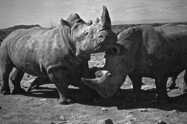 Rhino Duo, South Africa - Limited Edition 3 of 10 thumb