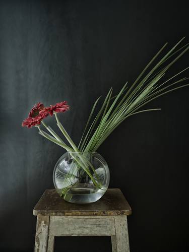 Print of Fine Art Floral Photography by Christian Maldonado