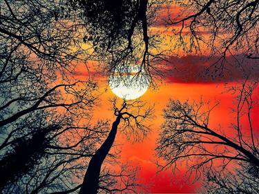 Original Abstract Expressionism Abstract Photography by John Fitzgerald Owens