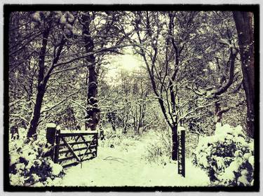 Car Park Winter Beauty - Limited Edition 1 of 1 thumb