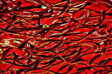 Print of Abstract Expressionism Fish Photography by John Fitzgerald Owens