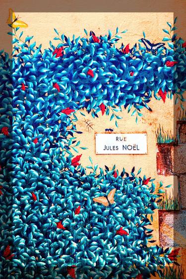 Print of Street Art Floral Photography by John Fitzgerald Owens