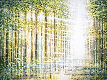 Light Filling The Forest (2023) thumb