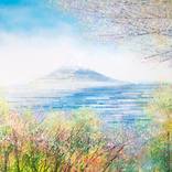 Japan Mount Fuji In Spring by Marc Todd