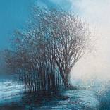 Trees In Morning Mist by Marc Todd