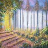 Atmospheric Forest Path by Marc Todd