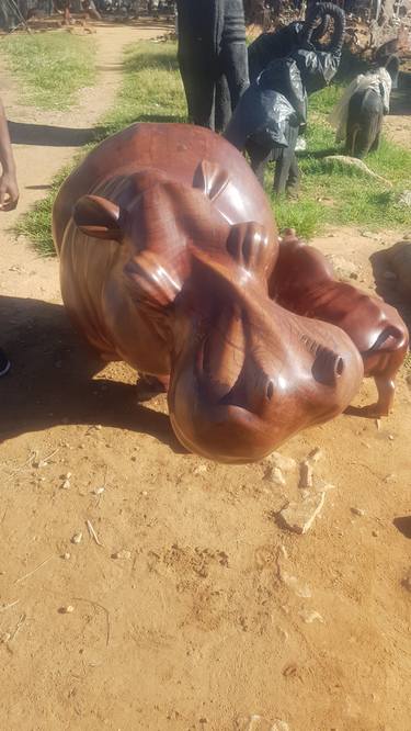 Tsepo the hippo thumb