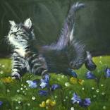 Cat`s Spring by Tatyana Poliakova