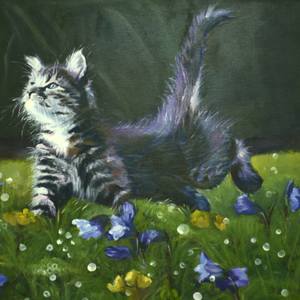 Cat`s Spring