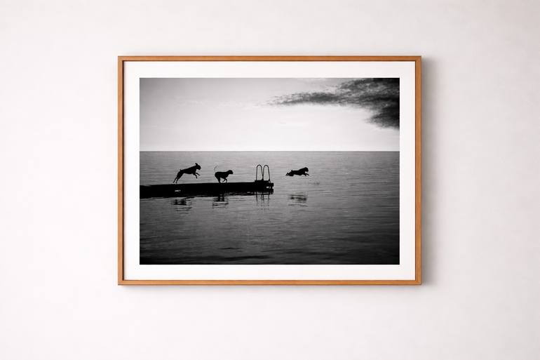 Original Other Dogs Photography by Andreas Kindler